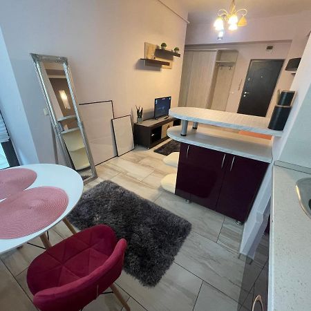 Apartmán Le Lupin / Center Iasi Exteriér fotografie