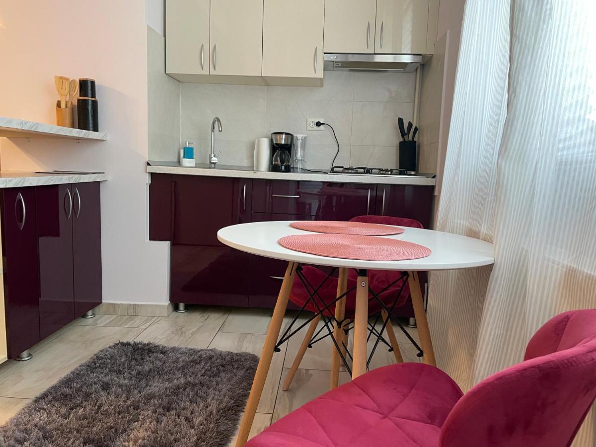 Apartmán Le Lupin / Center Iasi Exteriér fotografie