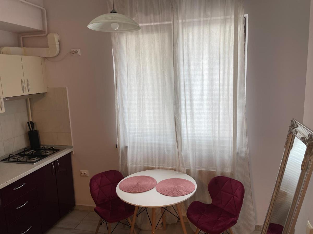 Apartmán Le Lupin / Center Iasi Exteriér fotografie
