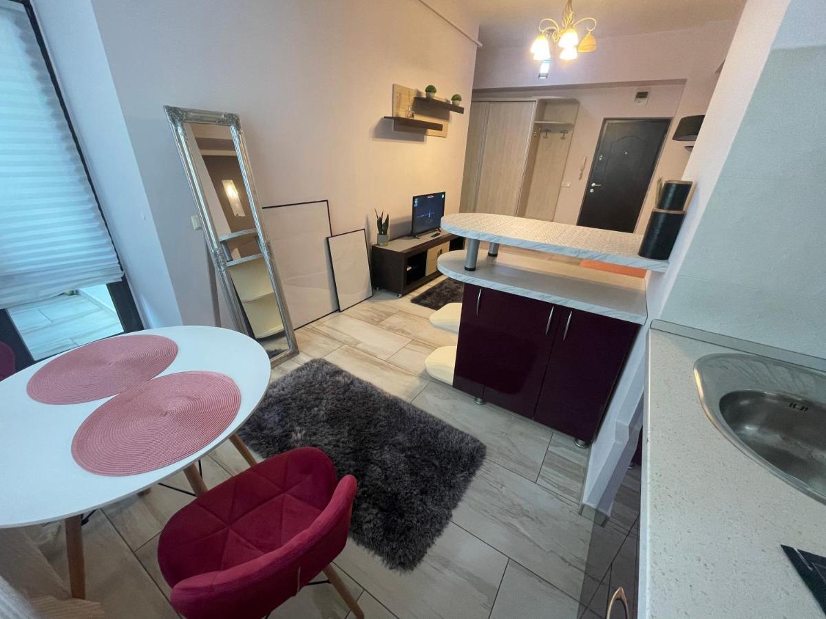 Apartmán Le Lupin / Center Iasi Exteriér fotografie