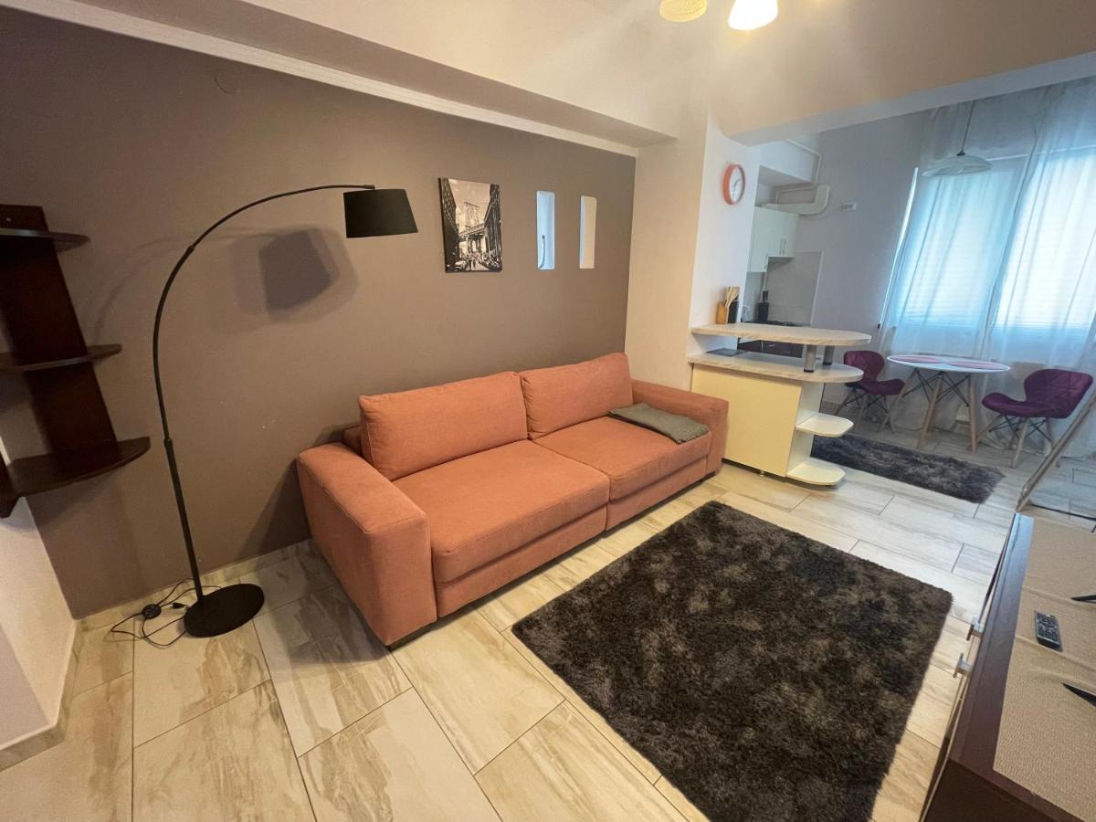 Apartmán Le Lupin / Center Iasi Exteriér fotografie
