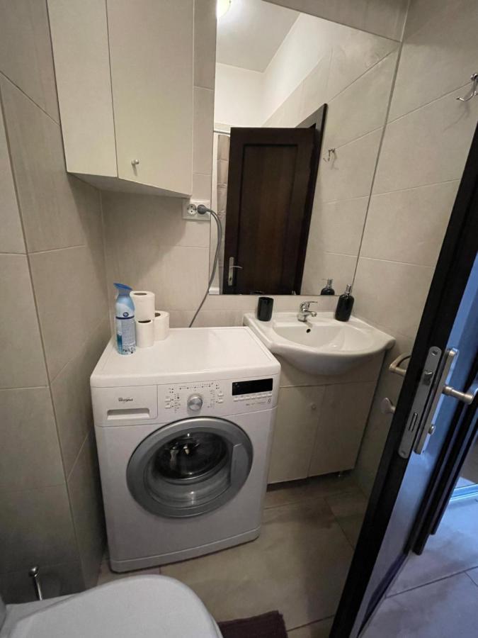 Apartmán Le Lupin / Center Iasi Exteriér fotografie