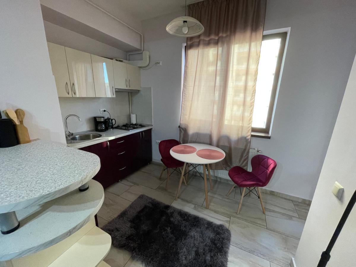 Apartmán Le Lupin / Center Iasi Exteriér fotografie